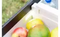 Berger DMC 45 kompresorový dvojzonovy  chladiaci box 
