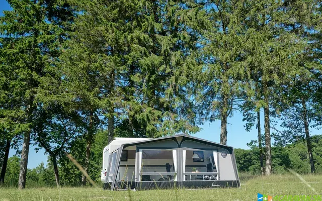 Isabella Ambassador Etna